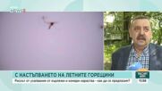 Рискът от ухапвания от кърлежи и комари нараства: Как да се предпазим