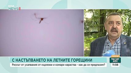 Рискът от ухапвания от кърлежи и комари нараства: Как да се предпазим