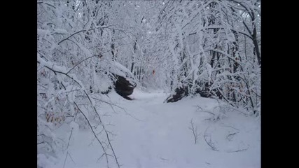 Vitosha mountain 29.01.2009