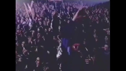 Ceca - Pustite me da ga vidim - (LIVE) - (Pionir 1995)