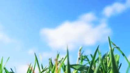 Morcheeba - Blue Chair