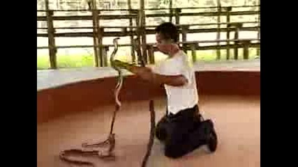 Африканец си отглежда кобра за домашен любимец 