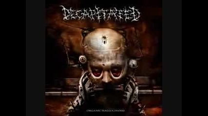 Decapitated - Flash Black - Organic Hallucinosis 2006 