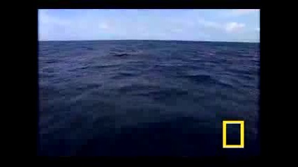 Killer Tsunamis