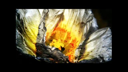 Gleb Cosmos - The Summer Will Be (roma Twist Remix)