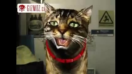 Beatboxing Dog! 