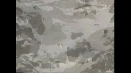 Funny Home Videos