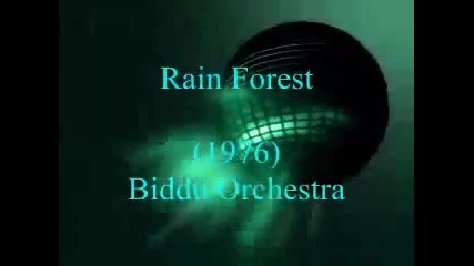 Biddu Orchestra - Rain Forest (1976) Disco