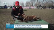 Дресьори обучават кучета да търсят оцелели в Одеса