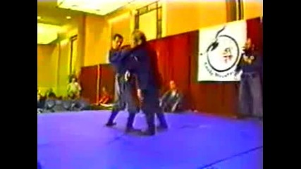 Hatsumi sensei