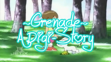 Hikari, Gatomon & Wizardmon - Granade