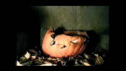 Rotting Halloween Pumpkin Time Lapse