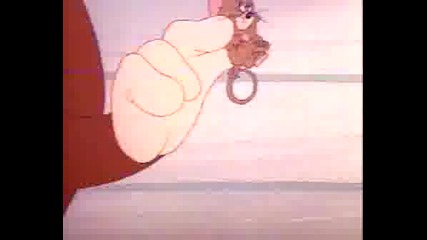 Tom And Jerry - 021 - Flirty Birdy
