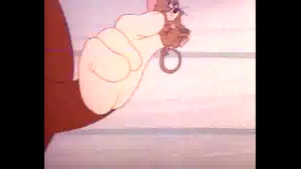 Tom And Jerry - 021 - Flirty Birdy