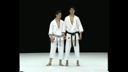 Djodan Mavashi Geri