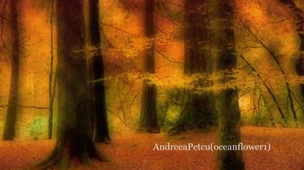 Ernesto Cortazar - Mi amor por ti
