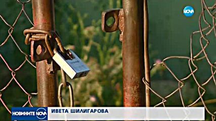 ОПАСНИ ДЪРВЕТА: Общината със спешни мерки след поредния инцидент