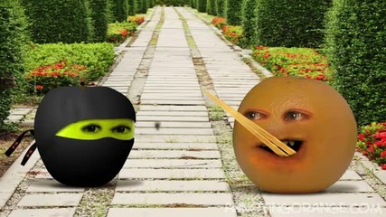 Annoying Orange - Kung Fruit