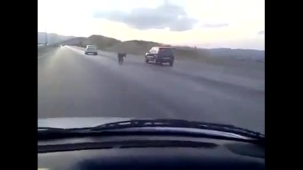 Този не е добре!