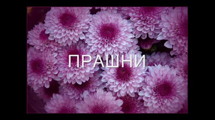 Иван Иванов - Самота