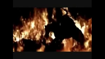 Disturbed