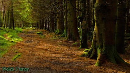 1 Hour of European Folk Music