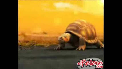 Реклама На Бира brahma - Crazy Turtle