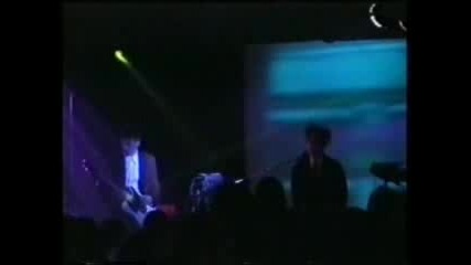 The Frozen Autumn - Wait For Nothin