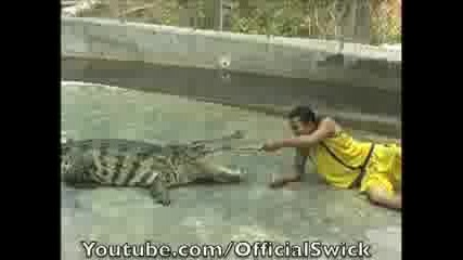 Хипноза на крокодил