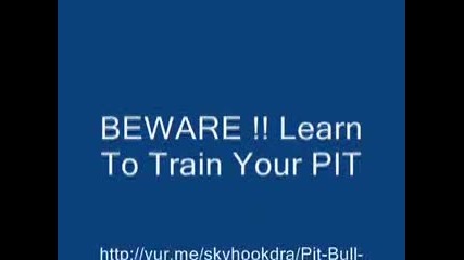 Pitbul4eta