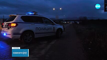 Какво е състоянието на пострадалите при катастрофа с коне в Кюстендилско