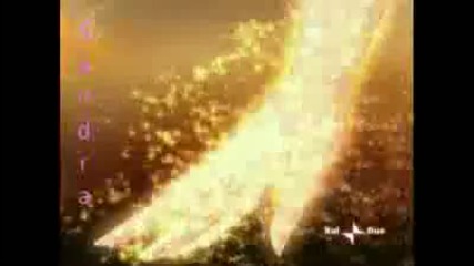 Bloom - Secret combination 