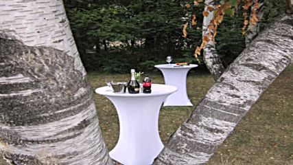 Nova Catering - Green party