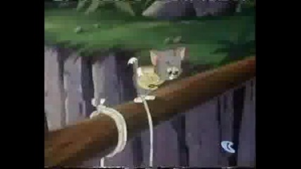 Tom & Jerry Kids 106 Sugar Belle Loves Tom