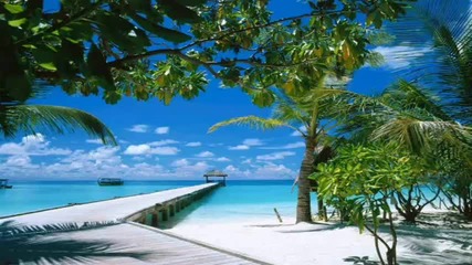 Paradise Island