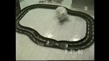 Смешни кучета