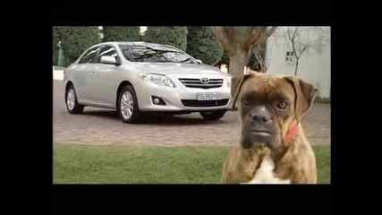 Sophisticated - Toyota Corolla