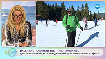 Какво е характерното за кучешкия впряг? - „На кафе” (17.01.2020)