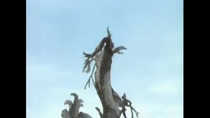 Wolf's Rain Episode 19 Eng Subs