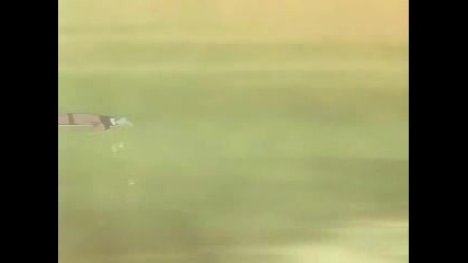 Sasuke Vs Naruto 
