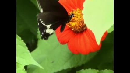 Beautiful.. 