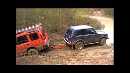 Niva birgt Disco 