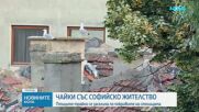 Чайки се заселиха трайно по покривите на София