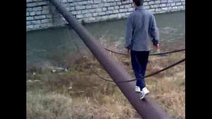 Ицо тигъра минава тръба