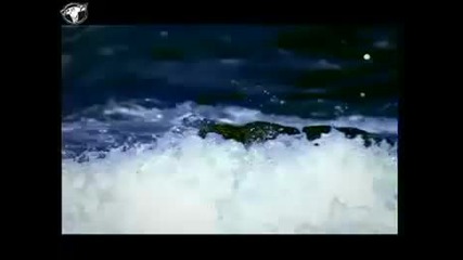 Pappa Bear feat. Jan Van Der Toorn - When The Rain Begins To Fall (1998) + Link Download 