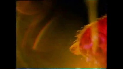 Deep Purple - Love Child 