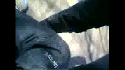 Super Tormoz
