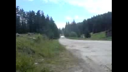 Viko I Plam Kamikadzeto
