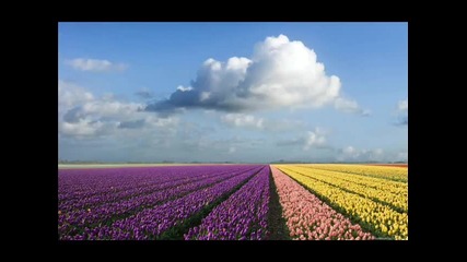 Lange feat Sarah Howells - Out Of The Sky