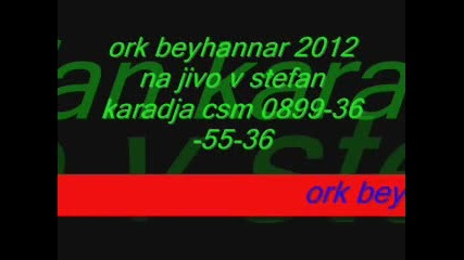 Ork Beyhannar Viv Stefan Karadja 2012